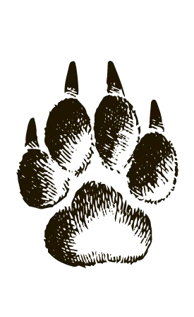 Собача лапа 4